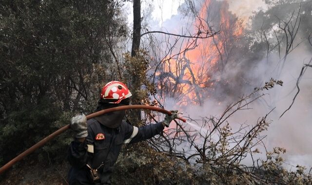 Μεγάλη κινητοποίηση της Πυροσβεστικής για φωτιά στην Αιγείρα