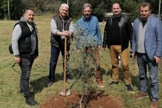 Φωκίων Ζαΐμης: Δενδροφύτευση στο Πανεπιστήμιο