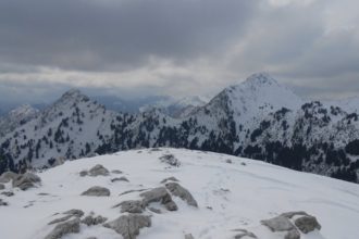 ΣΕΟ Πάτρας "Ωλενός": Κοπή της πρωτοχρονιάτικης πίτας