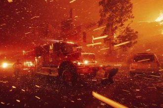 Σακελλαροπούλου: Πρόσφερε γεύμα Χριστουγέννων σε ηλικιωμένους