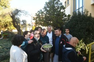 Πάτρα: Τα παιδιά των ΚΔΑΠ ΑΜΕΑ του Δήμου, ΚΟΜΑΙΘΩ και ΑΜΠΕΤ ΧΑΣΜΑΝ μάζεψαν ελιές