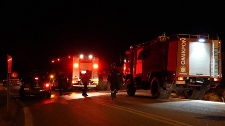 Πυρκαγιά, τα ξημερώματα, σε δασική έκταση στην Σκάλα Κεφαλονιάς - Σπεύδουν δυνάμεις από Πάτρα ΝΕΟΤΕΡΑ