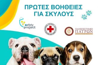 Πάτρα: Εξειδικευμένο Σεμινάριο Πρώτων Βοηθειών για σκύλους!