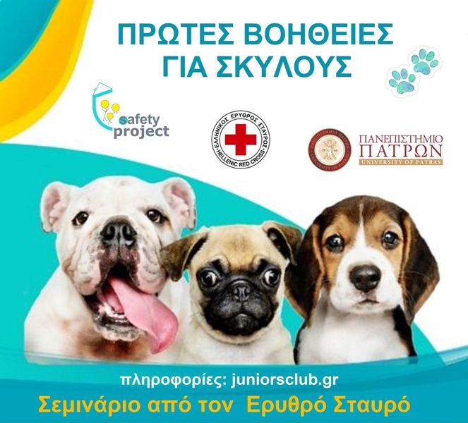Πάτρα: Εξειδικευμένο Σεμινάριο Πρώτων Βοηθειών για σκύλους!
