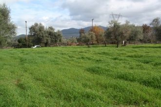 Πωλείται οικόπεδο στο Καγκάδι Αχαΐας προς 70.000 ευρώ - ΦΩΤΟ
