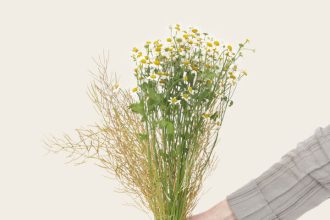 DIY μάσκα για λαμπερή επιδερμίδα με ένα φακελάκι χαμομήλι