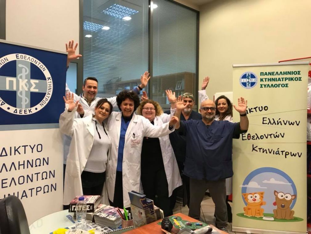 Στειρώθηκαν δωρεάν 82 αδέσποτοι σκύλοι με φροντίδα του Πανελλήνιου Κτηνιατρικού Συλλόγου