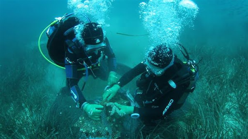 Αίγιο: 19 Ιουλίου υποβρύχιος καθαρισμός Αλυκής
