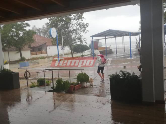 Ηλεία - Ιανός: Έβγαλε βόλτα το σκυλάκι της - ΦΩΤΟ