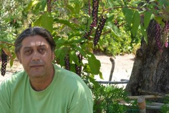 Βουτιά στον Κυπαρισσιακό