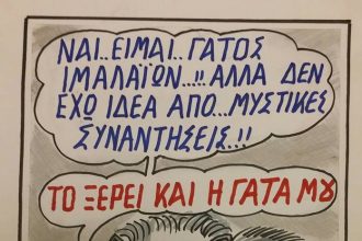 Γάτος Ιμαλαϊων...