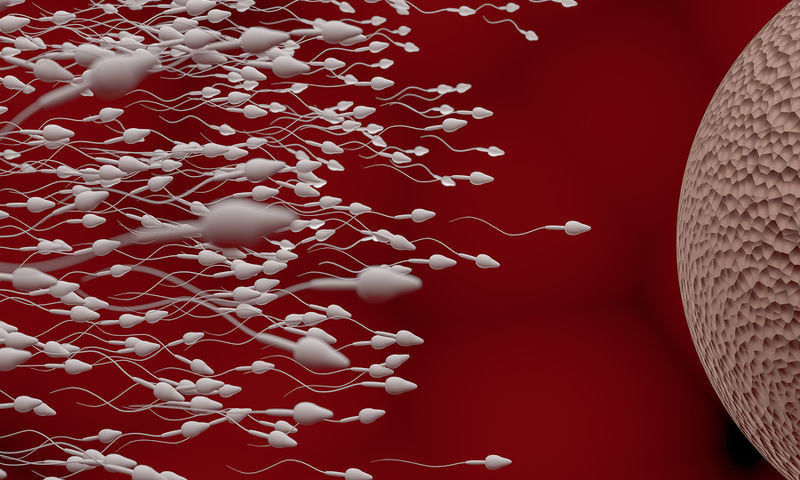 Γονιμότητα: Πως αλλάζει καθώς μεγαλώνουμε