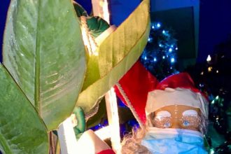 Ποια Πατρινή πολιτικός έβαλε μάσκα στον Άγιο Βασίλη;