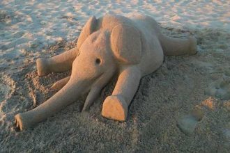 Πύργος: Και νέα δημιουργία από τον καλλιτέχνη στην άμμο Σαράντη Χιλέλλη στην παραλία της Σπιάντζας! - ΔΕΙΤΕ ΦΩΤΟΓΡΑΦΙΕΣ