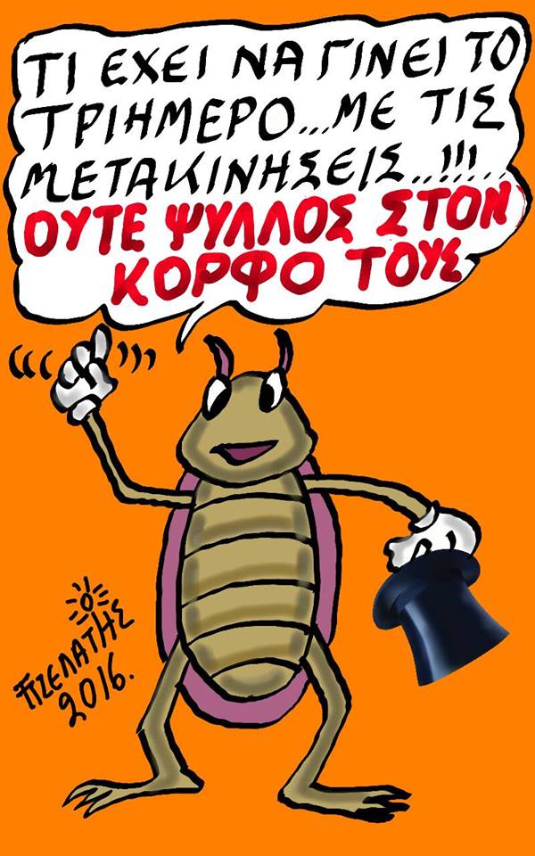 Ούτε ψύλλος στον κόρφο τους...
