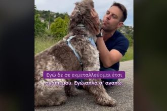 Κασσελάκης: Βάζει τη Φάρλι απέναντι στον Πίνατ - Η απάντηση μέσω TikTok στον Μητσοτάκη