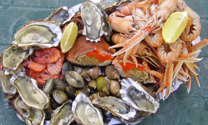 Καθαρά Δευτέρα: Πώς να ξεχωρίσετε τα φρέσκα θαλασσινά