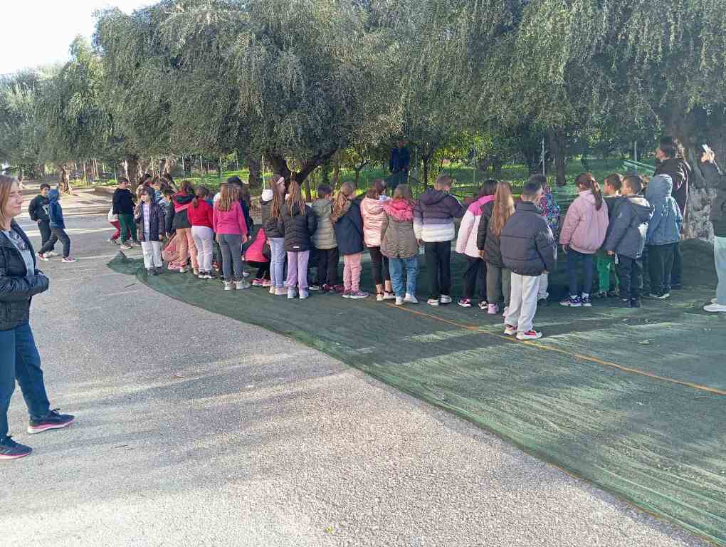 Μαθητές δημοτικών σχολείων της Πάτρας μάζεψαν ελιές κι έμαθαν για την αξία των δέντρων - ΦΩΤΟ