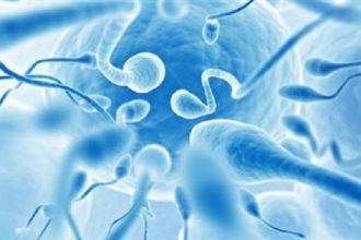 Πρωτοποριακό τεστ αποκαλύπτει τα γενετικά αίτια της υπογονιμότητας