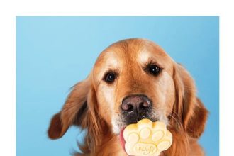 Τι λένε οι σκύλοι όταν γαβγίζουν