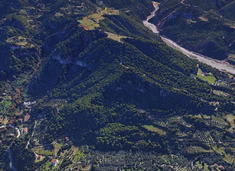 Έκκληση για το πευκοδάσος Σόφαινας-Καρκαλού, τον σπουδαίο πνεύμονα πρασίνου της πόλης στο Άνω Καστρίτσι