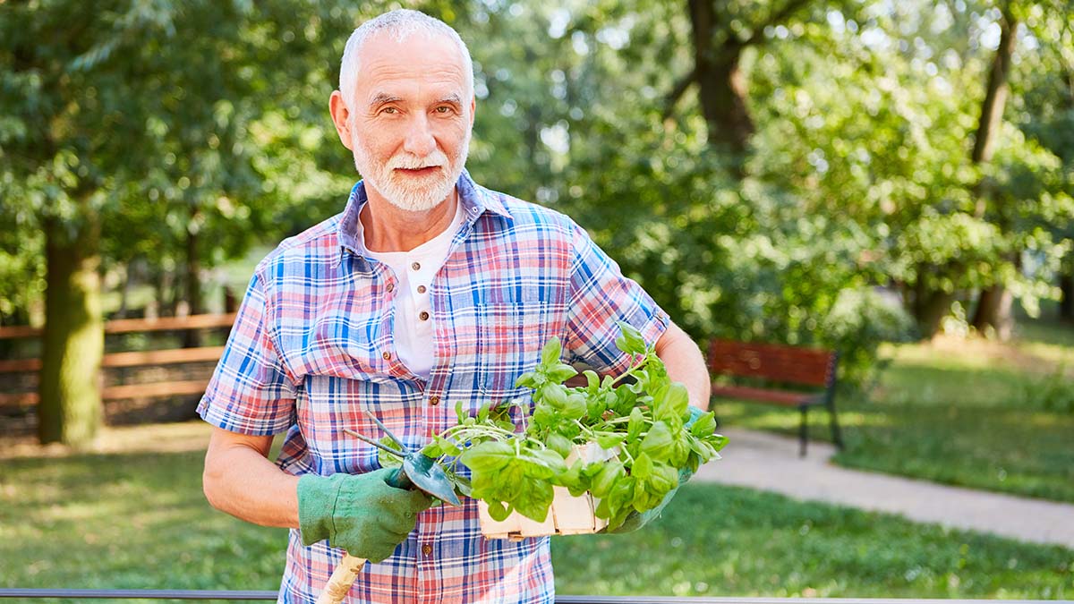 Nόσος Αλτσχάιμερ: Το μυρωδικό που δυναμώνει μυαλό και μνήμη - Το έχουμε όλοι στην κουζίνα μας