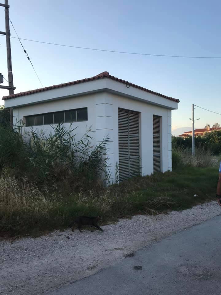 Ν. Μοίραλης: Οι εικόνες δεν λένε ψέματα