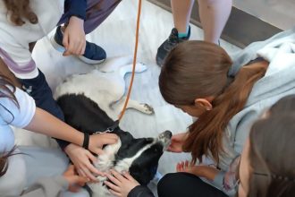 Ζώα συντροφιάς: Δράση ενημέρωσης από το Δήμο Πατρέων και στο Γυμνάσιο Σαραβαλίου