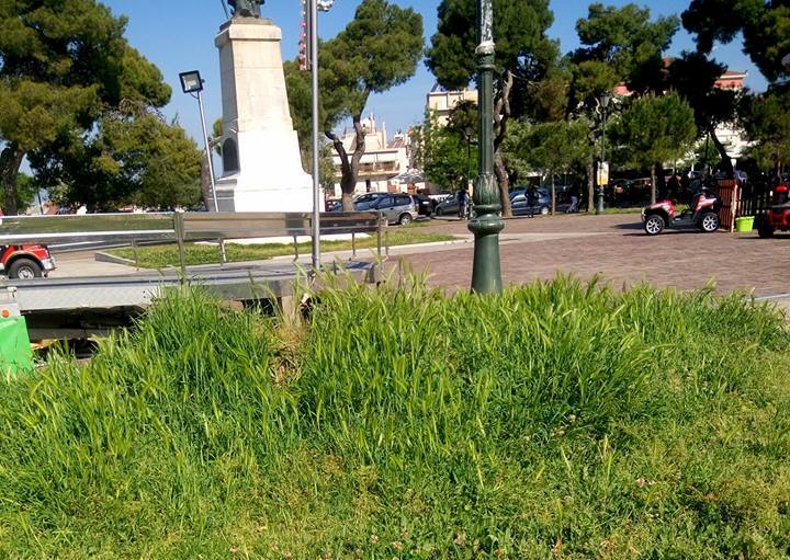 Πάτρα: Η "ζούγκλα" της Πλατείας Υψηλών Αλωνίων - ΦΩΤΟ