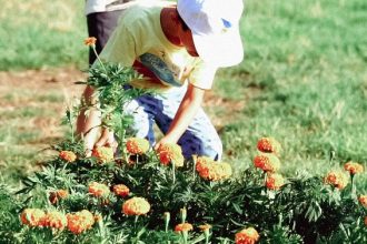 Πάτρα: Εκδηλώσεις αλληλεγγύης στο νότιο πάρκο