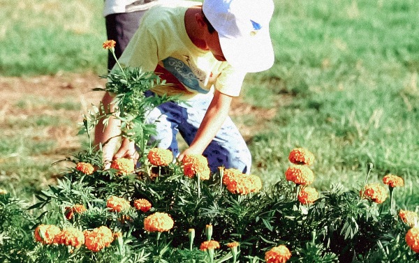 Πάτρα: Εκδηλώσεις αλληλεγγύης στο νότιο πάρκο