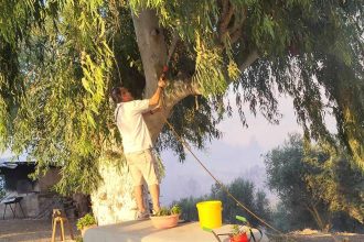 Ο εικονολήπτης που έσωσε το σπίτι από τη φωτιά