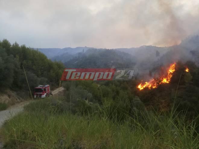 Ηλεία: Απίστευτο ρεκόρ πυρκαγιών - Από την αρχή της χρονιάς ξεσπούν σχεδόν 3 φωτιές την ημέρα!