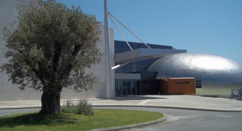 Φίλοι Αρχαιολογικού Μουσείου Πάτρας: Την Κυριακή η κοπή πίτας