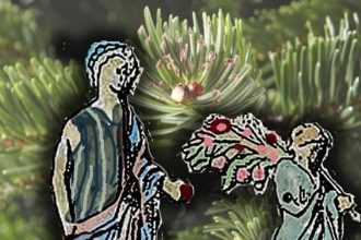 Πάτρα: Στόλιζαν δέντρο οι Αρχαίοι Έλληνες; Δράση την Κυριακή στο Μουσείο