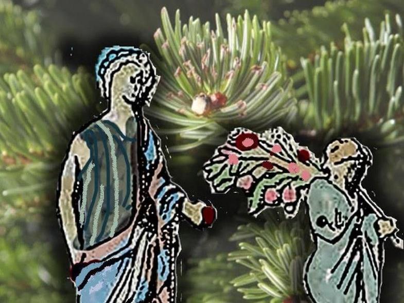 Πάτρα: Στόλιζαν δέντρο οι Αρχαίοι Έλληνες; Δράση την Κυριακή στο Μουσείο