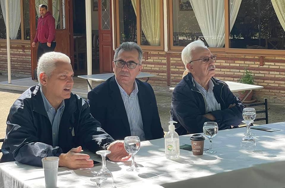 Φωκίων Ζαΐμης: Γιατί θέλουν προστασία τα πλατάνια... ΦΩΤΟ