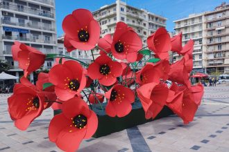 Πάτρα: Που μεταφέρθηκαν οι παπαρούνες της πλατείας Γεωργίου