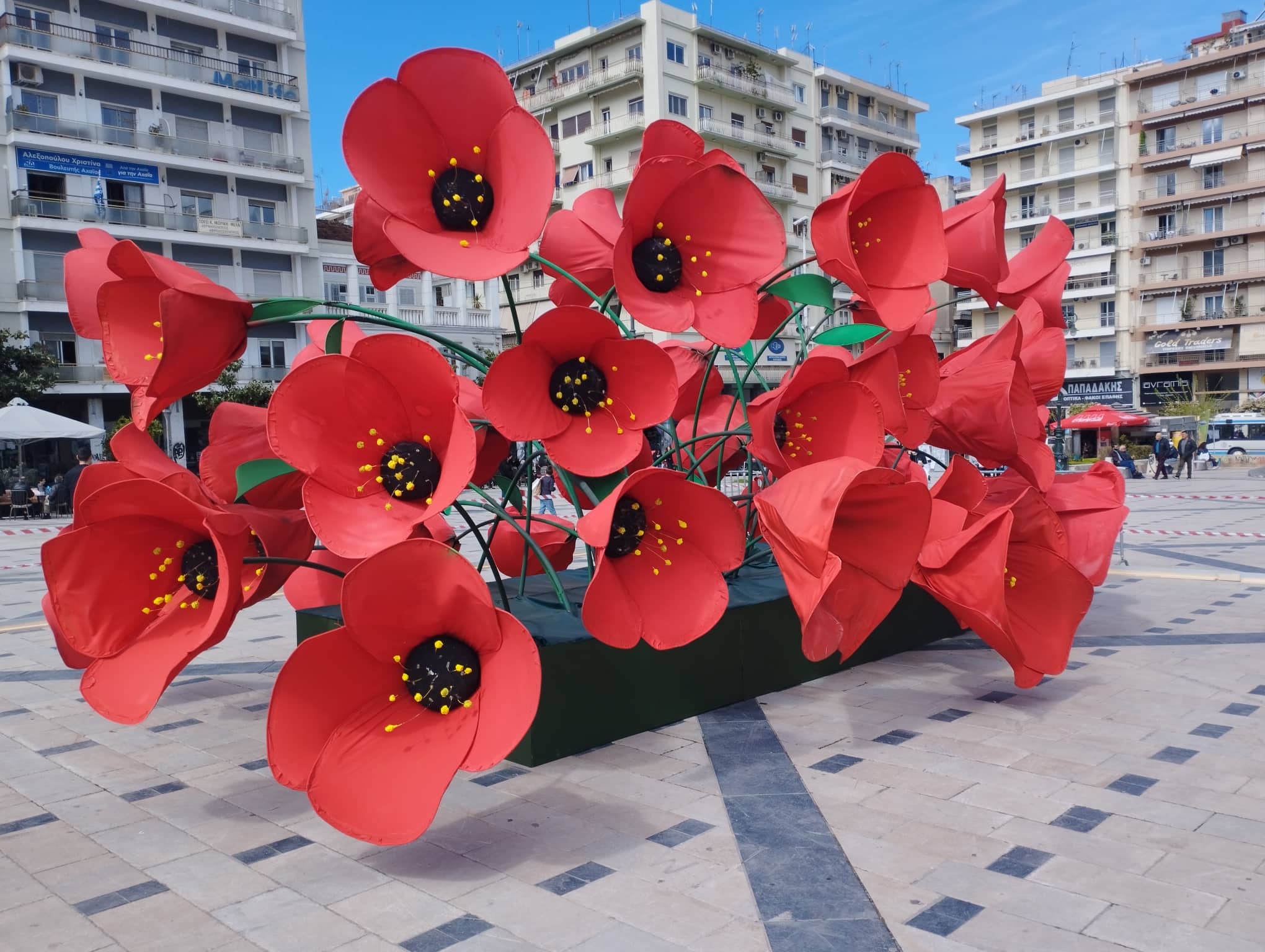 Πάτρα: Που μεταφέρθηκαν οι παπαρούνες της πλατείας Γεωργίου