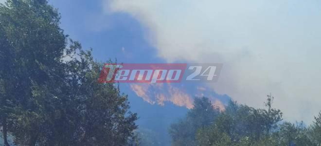 Υπό έλεγχο η πυρκαγιά στην Ζάκυνθο - Χωρίς ενεργό μέτωπο η Ηλεία