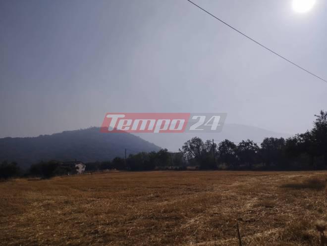 Καλλιθέα: Σε ύφεση η φωτιά - Πυκνός καπνός παντού, "σκέπασε" μέχρι και το κέντρο της Πάτρας! ΦΩΤΟ