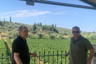 Απόστολος Κατσιφάρας: Οι αμπελουργοί περιμένουν ακόμη...
