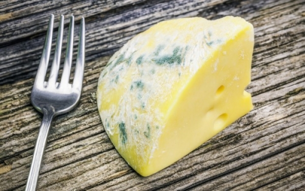 Επιτρέπεται και εάν ναι πότε μπορείτε να φάτε μουχλιασμένο τυρί