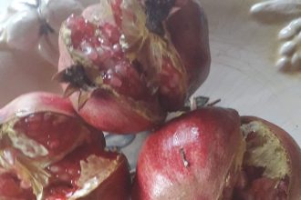 ΕΛ.Ε.ΑΝ.Α Ν.ΑΧΑΙΑΣ: Πρωτοχρονιάτικη εκδήλωση στις 2 Φεβρουαρίου !