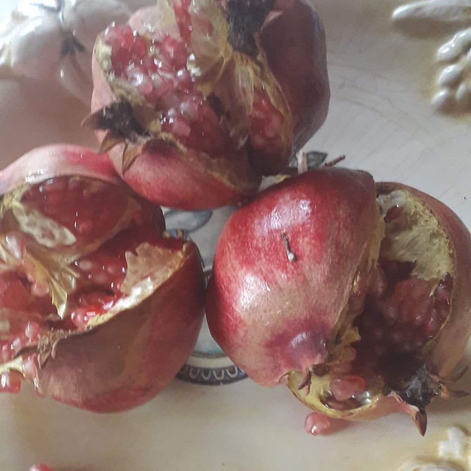 ΕΛ.Ε.ΑΝ.Α Ν.ΑΧΑΙΑΣ: Πρωτοχρονιάτικη εκδήλωση στις 2 Φεβρουαρίου !