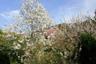"Του Χριστού τα πάθη", τα κάλαντα της Μ. Παρασκευής στο Ανω Καστρίτσι