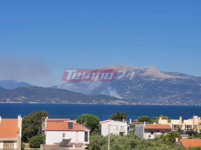 Μεγάλη φωτιά στην Αφροξυλιά Ναυπακτίας - Πλησίασε σε σπίτια - Ορατοί οι καπνοί από τον Άγιο Βασίλειο - ΦΩΤΟ ΒΙΝΤΕΟ ΝΕΟΤΕΡΑ