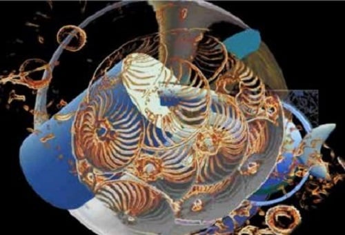 Εγκαινιάζεται η έκθεση «Πλαγκτόν: ένας θαυμαστός υδάτινος κόσμος»