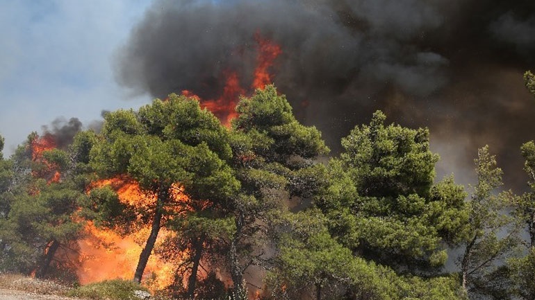 Πολύ υψηλός κίνδυνος πυρκαγιάς την Τρίτη σε Αχαΐα, Ηλεία - Υψηλός στην Αιτωλοακαρνανία