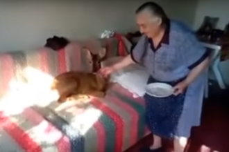 Αγρίνιο: Ηλικιωμένη έχει κατοικίδιο ζαρκάδι και είναι αχώριστοι - ΒΙΝΤΕΟ